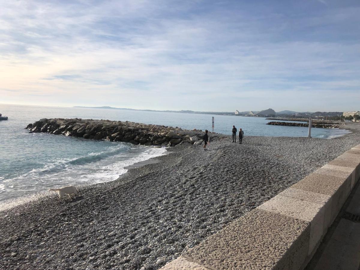 Front De Mer,Plage, Piscine, Parking カーニュ・シュル・メール エクステリア 写真