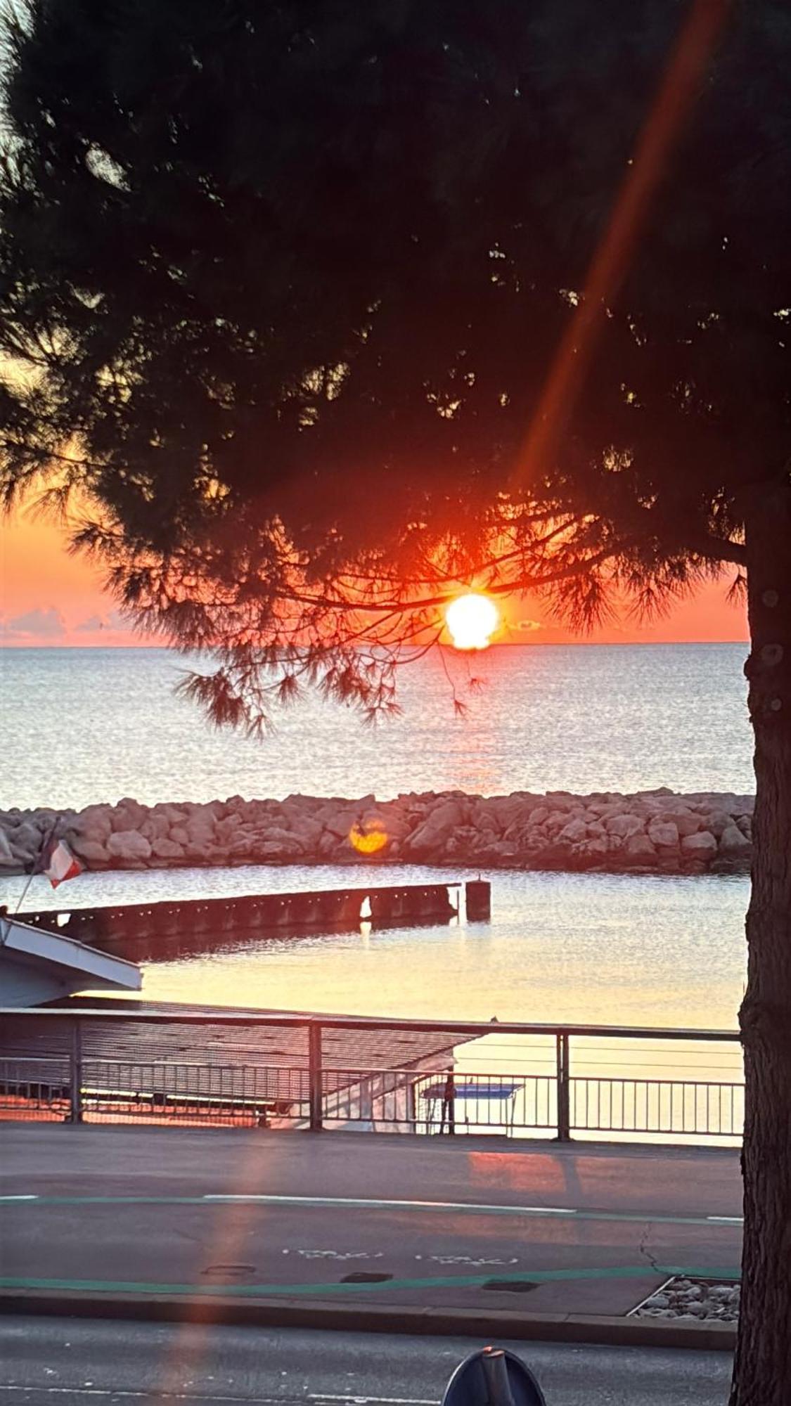 Front De Mer,Plage, Piscine, Parking カーニュ・シュル・メール エクステリア 写真